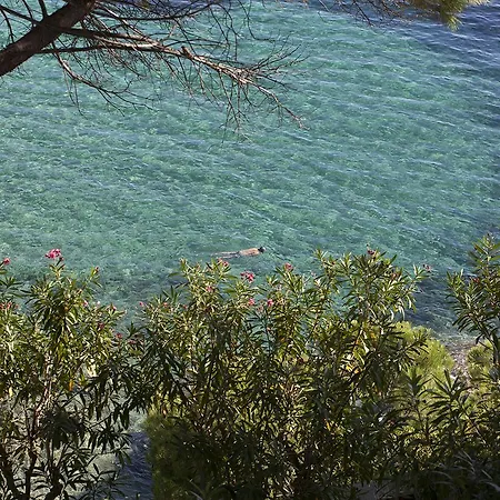 Ξενοδοχείο Almadraba Park 4*